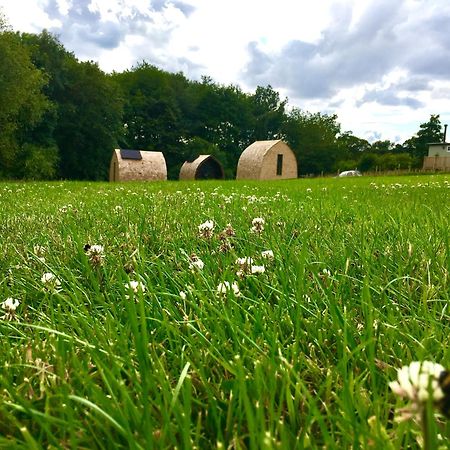 فندق Alder Pod, Clay Bank Huts Ingleby Greenhow المظهر الخارجي الصورة