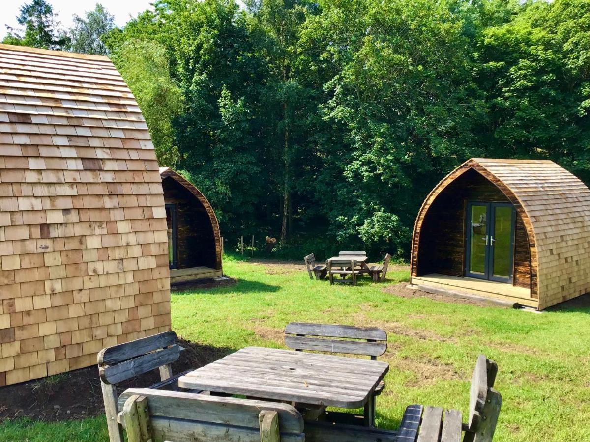 فندق Alder Pod, Clay Bank Huts Ingleby Greenhow المظهر الخارجي الصورة