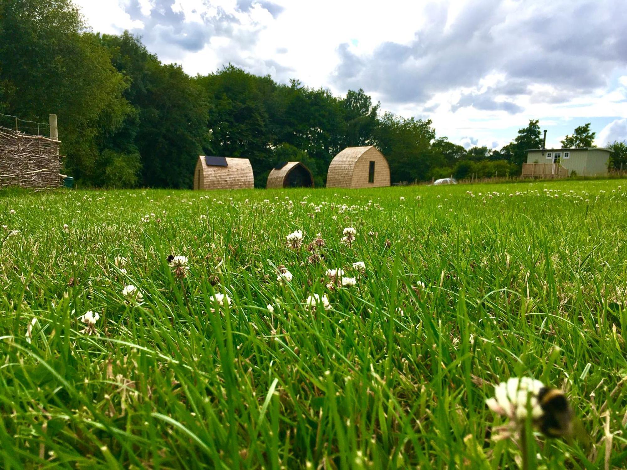 فندق Alder Pod, Clay Bank Huts Ingleby Greenhow المظهر الخارجي الصورة